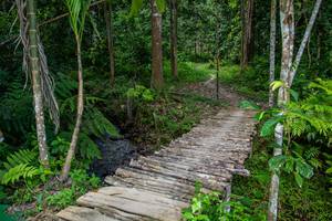 BIB: 
                            <button type="button" onclick="openModal(21893205)" class="btn btn-primary btn-sm float-right btn-popup" data-toggle="modal" data-target=".modal-high-quality">
                        <i class="fas fa-shopping-cart"></i> Add to Cart
                    </button>
                                            <button type="button" onclick="isThisMe(21893205, true)" class="btn btn-success btn-sm float-right btn-popup btn-isme hidden" data-toggle="tooltip" data-placement="bottom" title="นี่คือรูปของคุณใช่ไหม คลิกที่นี่เพื่อเอาเข้าอัลบั้ม">
                        <i class="fas fa-plus"></i> Add to album
                    </button>
                    <button type="button" onclick="isThisMe(21893205, false)" class="btn btn-warning btn-sm float-right btn-popup btn-isnotme hidden">
                        <i class="fas fa-ban"></i> Remove from album
                    </button>